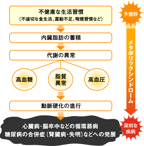 図解