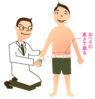 正しい腹囲の測り方 正しい腹囲の測り方