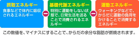 摂取エネルギー － 基礎代謝エネルギー － 運動エネルギー　この数値を、マイナスにすることで、からだの余分な脂肪が燃焼されます。