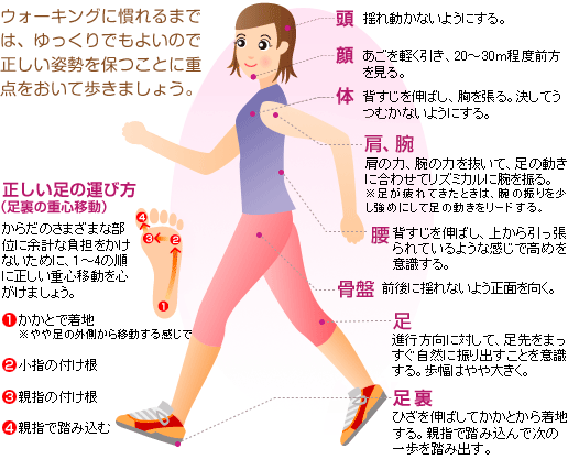 歩き方 コッピーの健康ライフ 広島県国民健康保険団体連合会