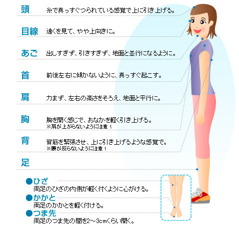 歩き方 コッピーの健康ライフ 広島県国民健康保険団体連合会