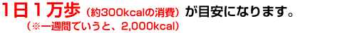 1日1万歩(約300kcalの消費)が目安になります。